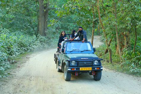 Garjiya Jeep Safari Details