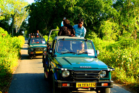 Hathi Dagar Jeep Safari Details