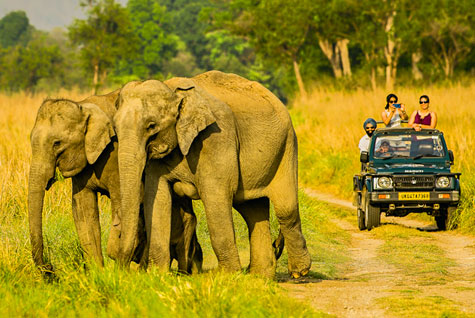 Jeep Safari Images