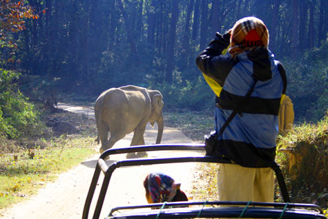 Jeep Safari Images