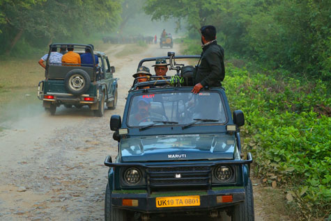 Pawalgarh/Seetabani Jeep Safari Details