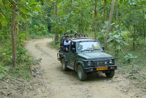 Phanto Jeep Safari Details